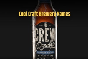 250+ Cool Craft Brewery Names