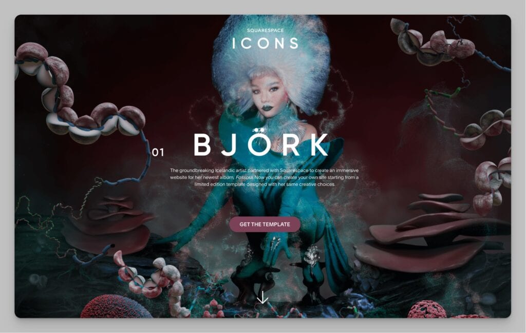 example Squarespace template featuring Björk