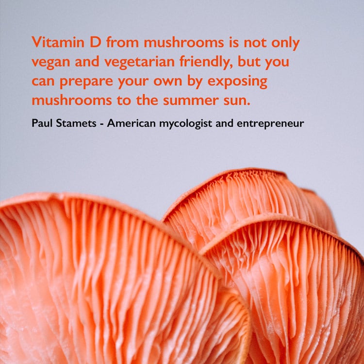 Quote by Paul Stamets