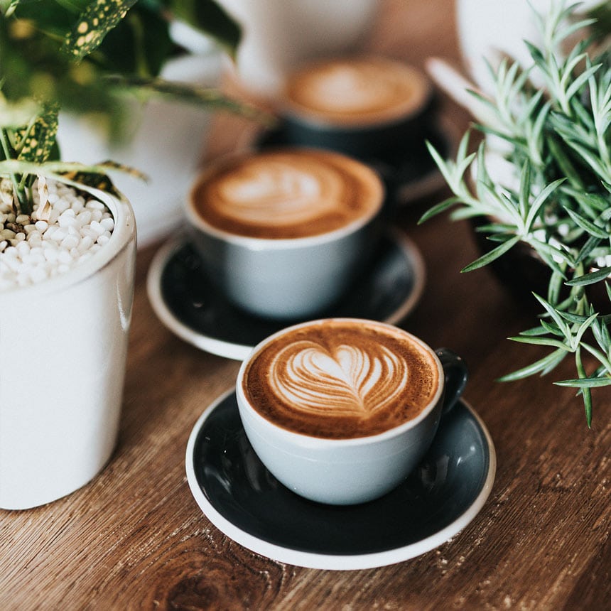 coffe on table with plants