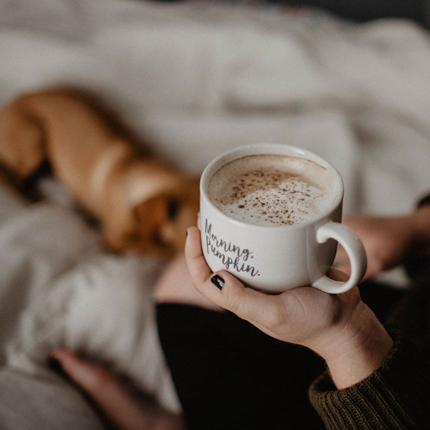 Coffee with a dog
